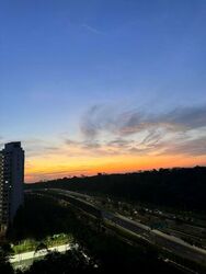 Blossom Residences (D23), Condominium #563473041